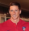 https://upload.wikimedia.org/wikipedia/commons/thumb/5/57/Fernando_Torres_2017.jpg/100px-Fernando_Torres_2017.jpg